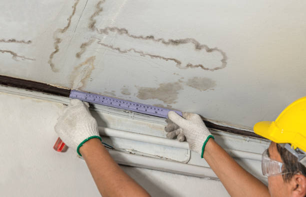 Reliable Flood Cleanup contractor in Clifton, NJ by Water Damage Irwin